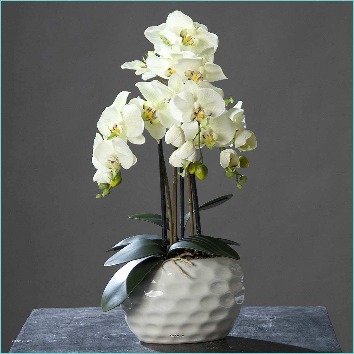 Orchide Artificielle Ikea orchidee Artificielle 3 Hampes En Pot Ceramique Blanc H 59