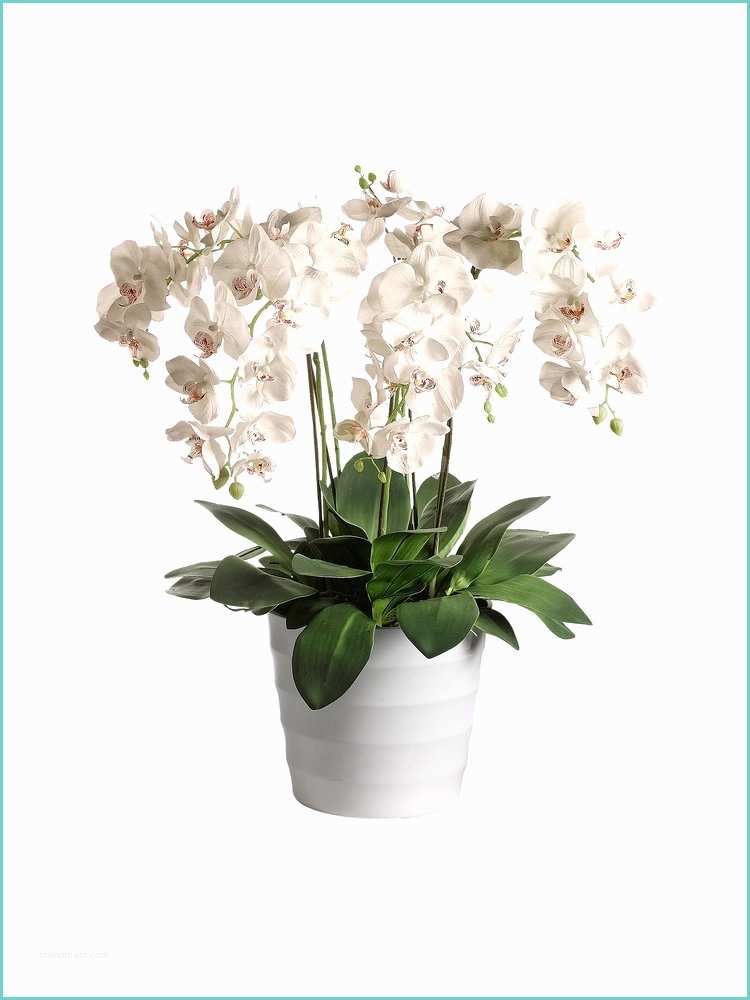 Orchide Artificielle Ikea orchidée Artificielle En Pot Helline