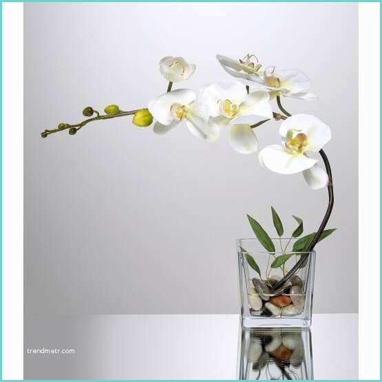 Orchide Artificielle Ikea orchidée Artificielle Haut De Gamme Et Position Avec Ou