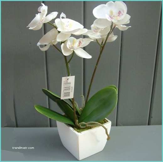 Orchide Artificielle Ikea Plante Artificielle De Faux Végétaux Plus Vrais Que