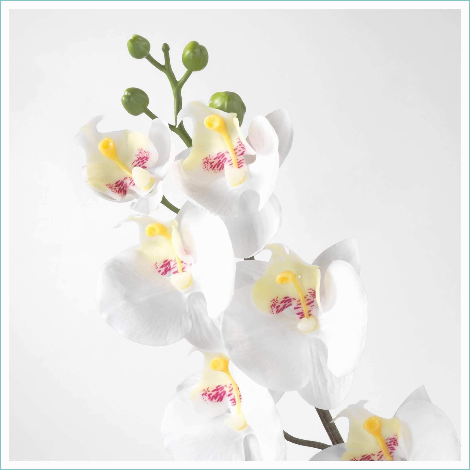 smycka fleur artificielle orchidée blanc art
