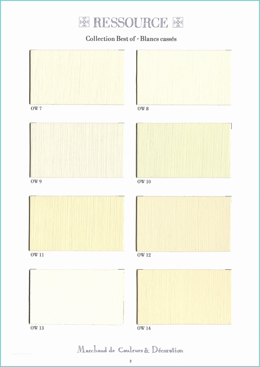 Palette De Couleur Blanc Blancs Cassés Peintures Ressource