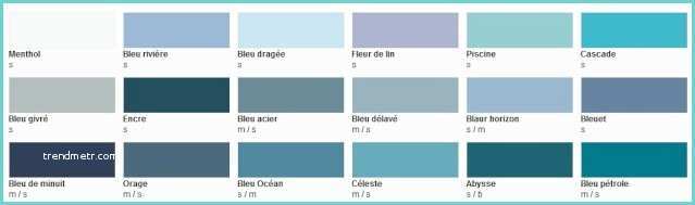 Palette De Couleur Gris Bleu Nuancier Colours Castorama