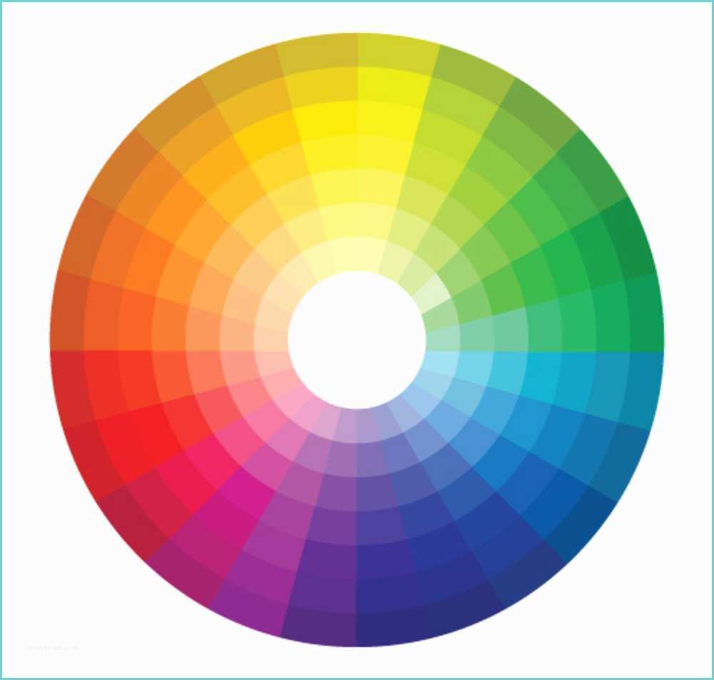 Palette De toutes Les Couleurs How to Choose the Right Color Palette for Your Home