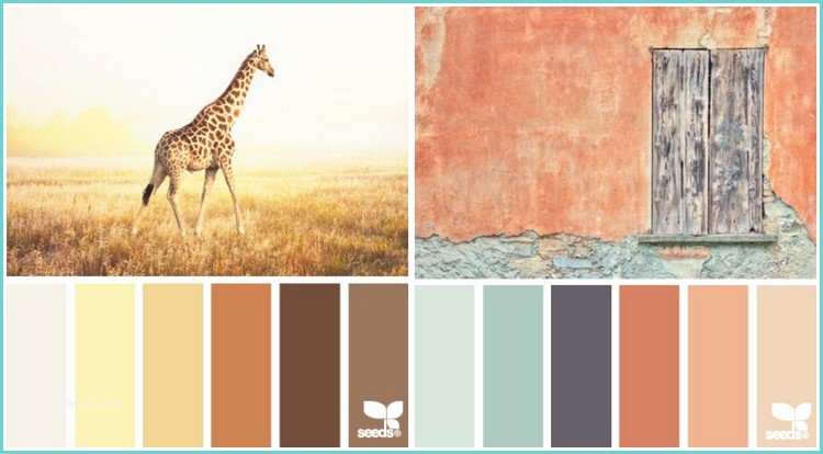 Palettes De Couleurs Peinture Murale Couleur Pour Cuisine – 105 Idées De Peinture Murale Et Façade
