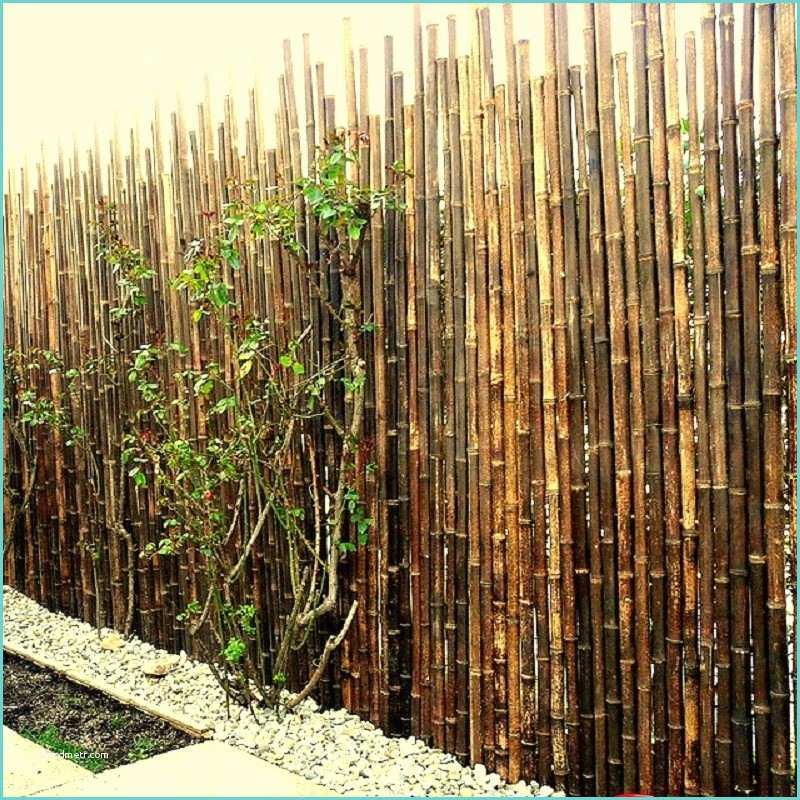 Palissade Bambou Leroy Merlin Palissade Bambou Leroy Merlin Jonc De Mer Sisal Et Bambou