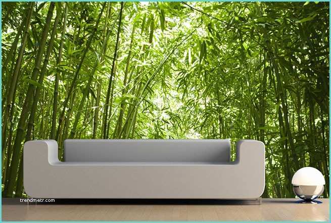 Papier Peint Imitation Bambou Revger = Sticker Bambou Geant Idée Inspirante Pour
