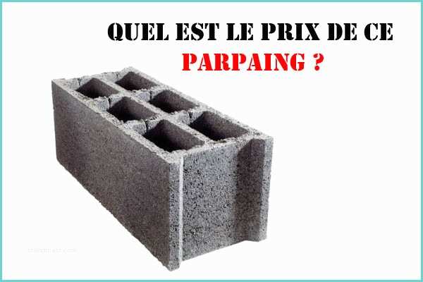 Parpaing A Bancher 15x20x50 Parpaing Brico Dépôt Le Paratif Ultime