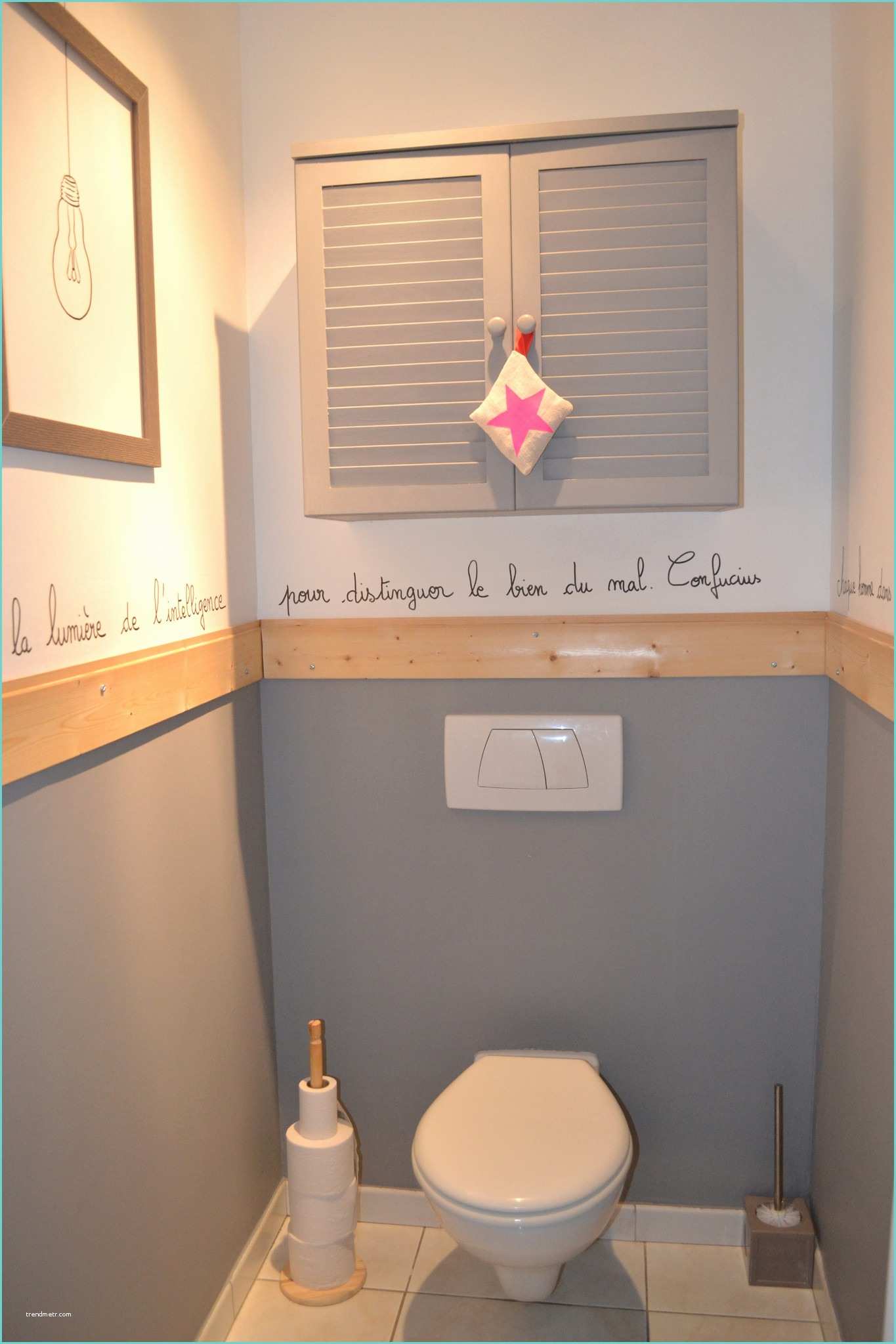 Peindre Interieur Cuvette Wc Peindre Des toilettes Avec Perfekt Peindre Des toilettes