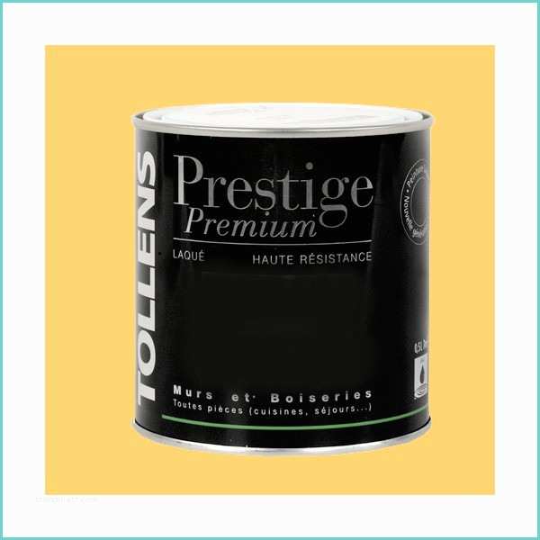 Peinture Blanche Laque tollens Peinture Prestige Premium Laqué Pêche Blanche