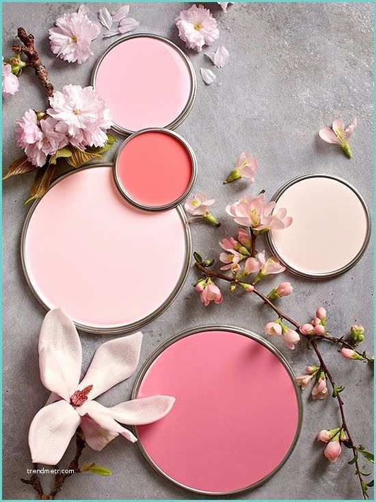 Peinture Rose Poudr Pink Mood Frenchy Fancy