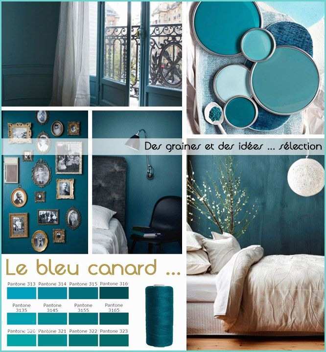 Peinture Wc Bleu Canard Les 25 Meilleures Idées De La Catégorie Bleu Canard Sur