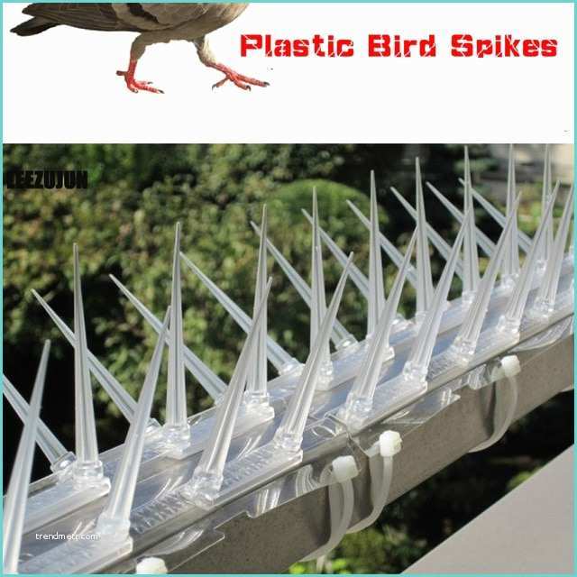 Pic Anti Pigeon Brico Excellent Plastic Pigeon Spikes Kit Balcony Bird Spikes Cm