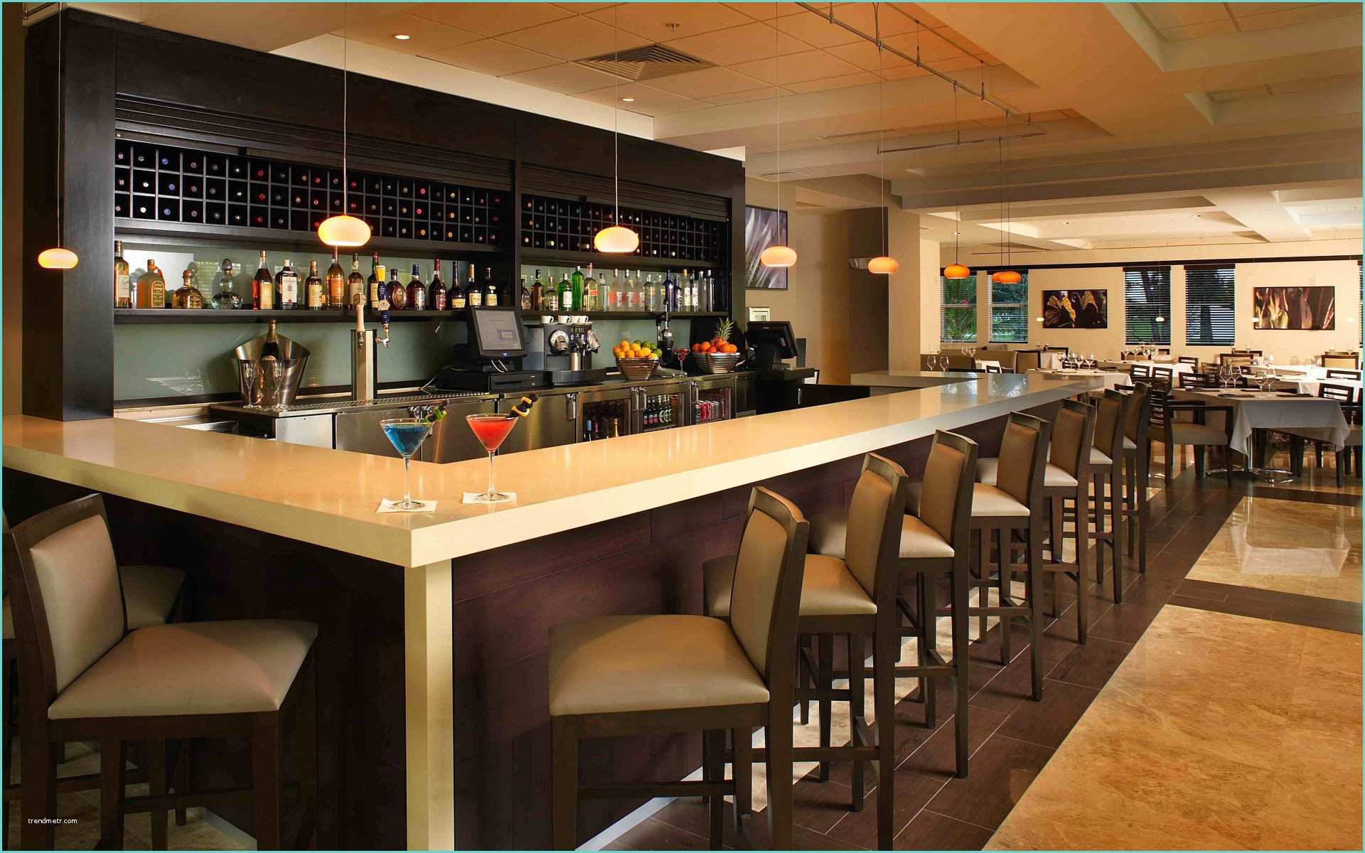 Pictures Of A Bar Cafe Rack Bar Design