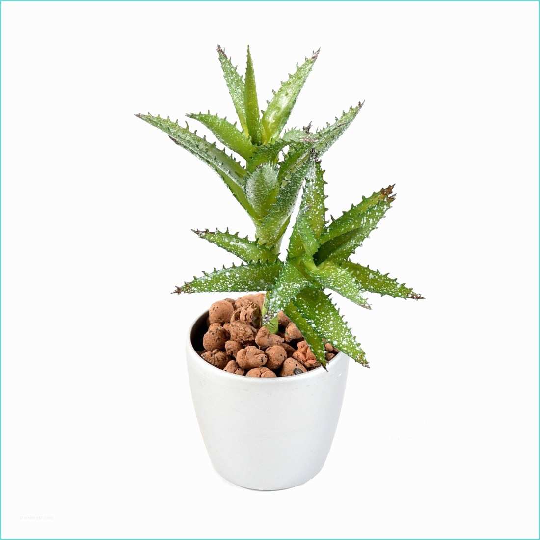 Piedestal Plante Pas Cher Mini Succulentes Artificielles 18 Cm Mini Cactus Et