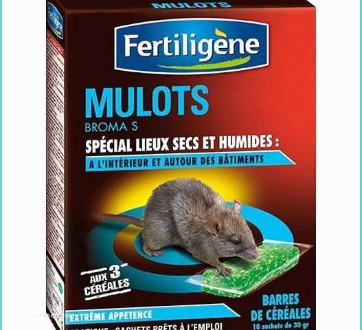 Piege A Taupe Leroy Merlin Piège Antirats Et souris Fertiligene 10 Sachets