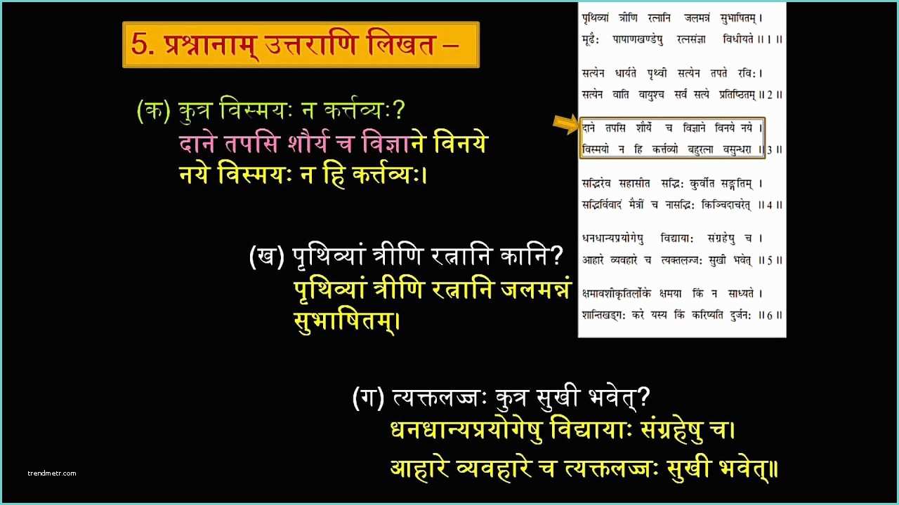 Placard Meaning In Hindi 7th 1 2 अभ्यासः‌ Ncert Ruchira 7th Std Sanskrit