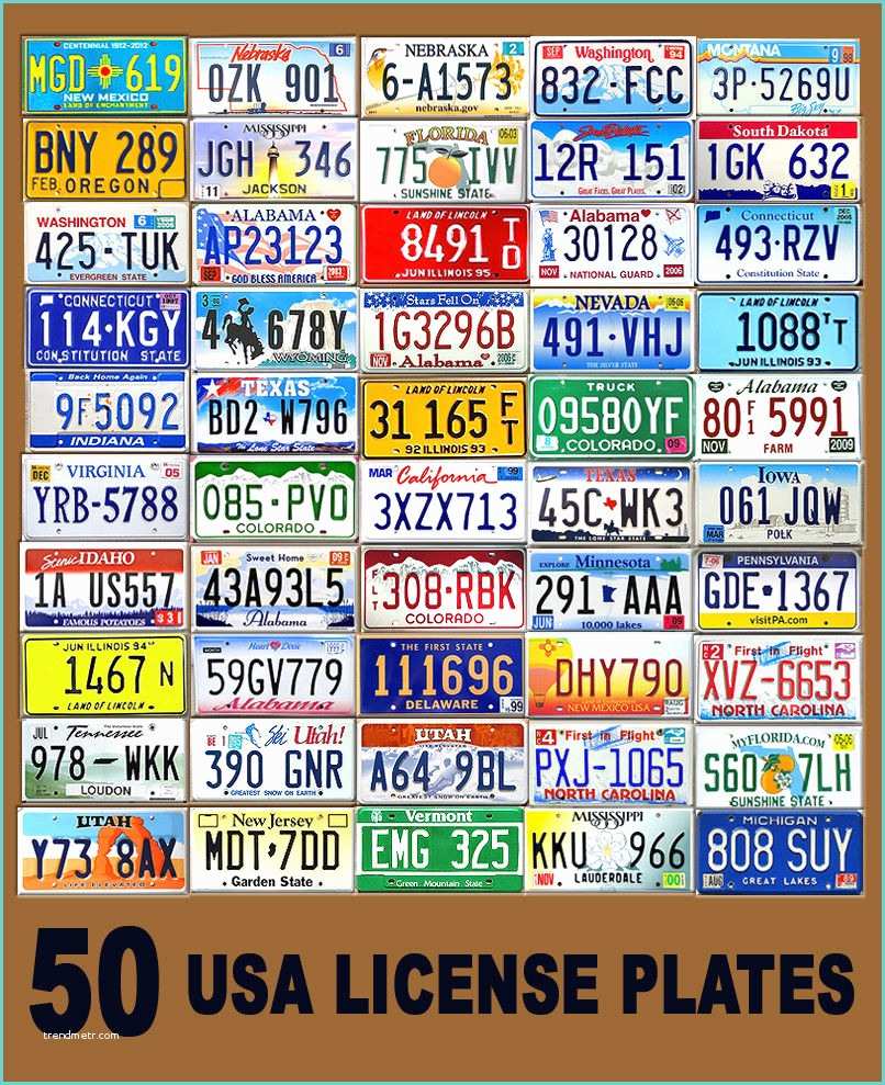 Placo Platr Dicor 2018 50 assorted Usa License Plates Color United States Tag