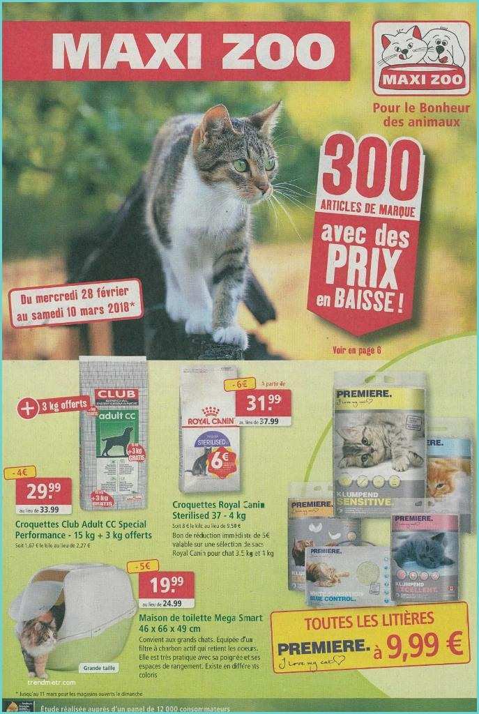 Plan De Campagne Animalerie Maxi Zoo Animalerie Chemin De La Grande Campagne