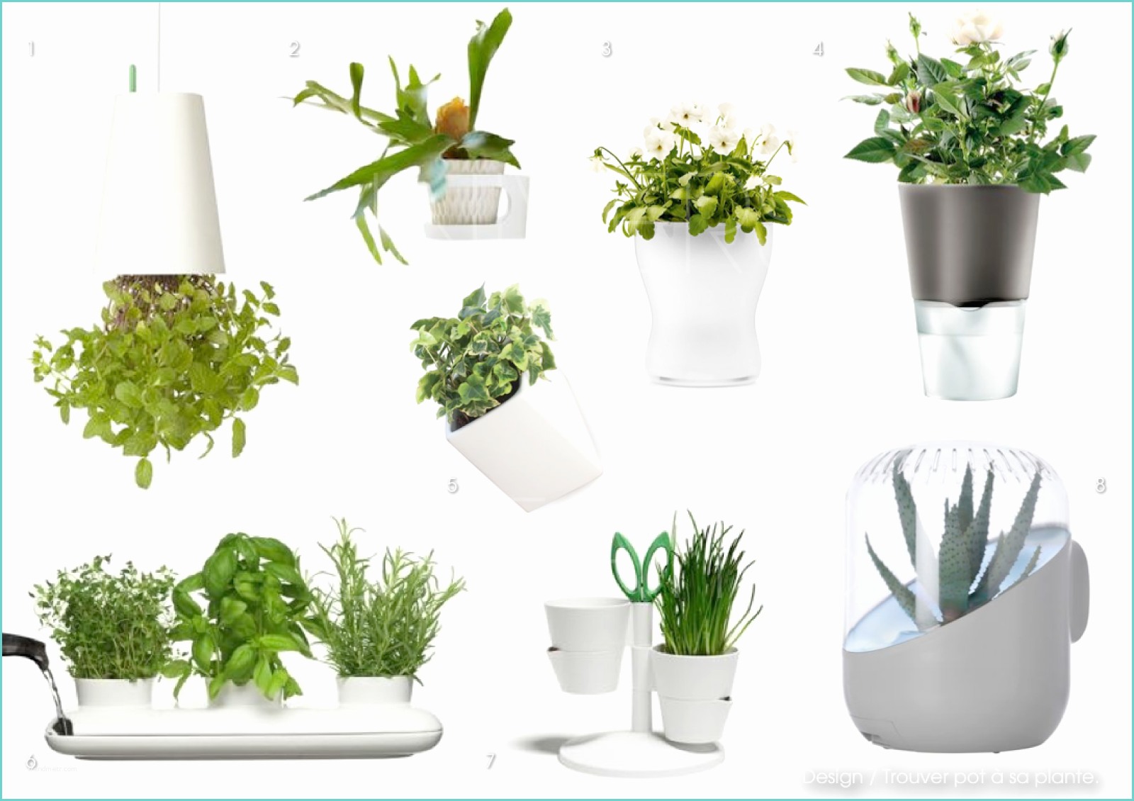 Plante D Intrieur Design Univers Creatifs Design Trouver Pot à Sa Plante