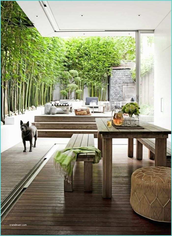 Planter Des Bambous En Jardinire Ment Planter Des Bambous Dans son Jardin