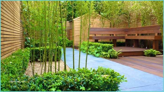 Planter Des Bambous En Jardinire Planter Des Bambous En Jardinire Amazing Plantation Duune