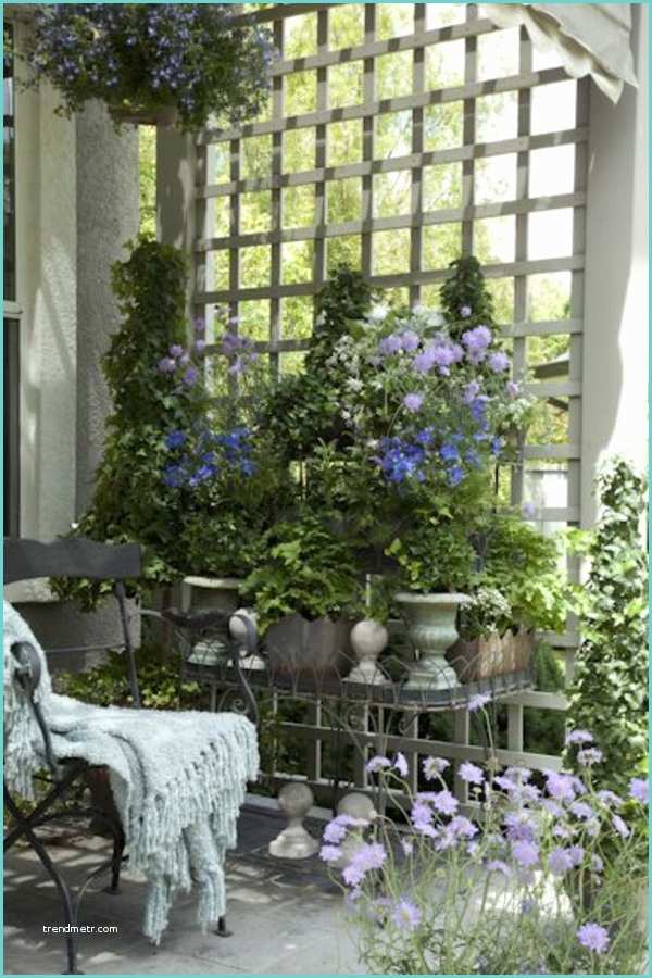 Plantes Pour Terrasse Ensoleille Des Plantes Grimpantes Pour Balcon Et Terrasse On Est
