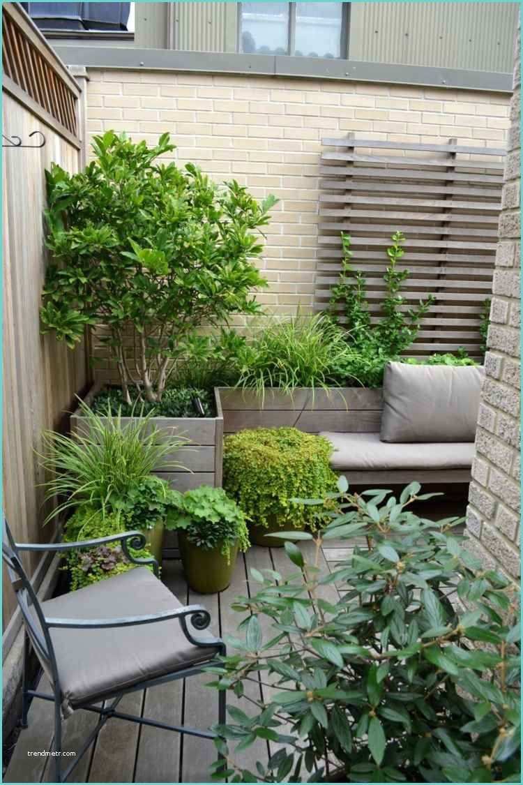 Plantes Pour Terrasse Ensoleille Graminées Décoratives En 20 Idées Pour Embellir La Maison