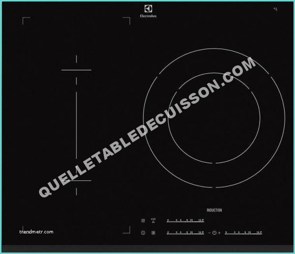 Plaque Induction Sauter Sti984b Electrolux Ehi6532fsk Table De Cuisson à Induction Moins Cher