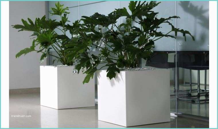 Portes Plantes Intrieur Pot Design Pour Plante Interieur Conceptions De Maison