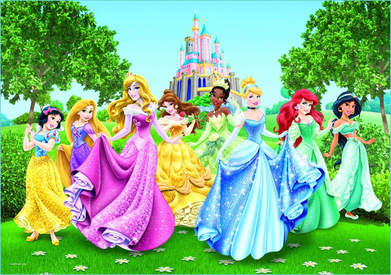 Poster Xxl Disney Fototapete Tapete Disney Prinzessin Cindarella 360 X 254 Cm