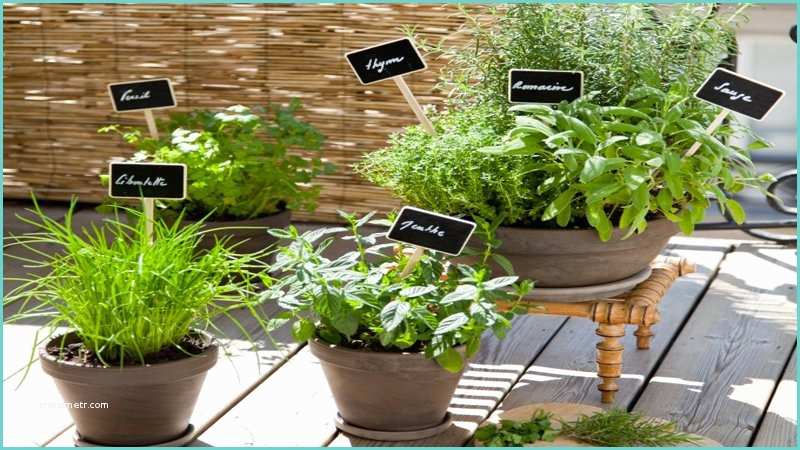 Pot Pour Plante Dintrieur Une Jardiniere Revolutionnaire Pour Plante D Interieur A