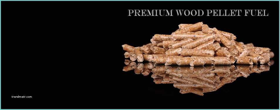 Premium Wood Pellets Prezzo Sierra Nevada Bioenergy