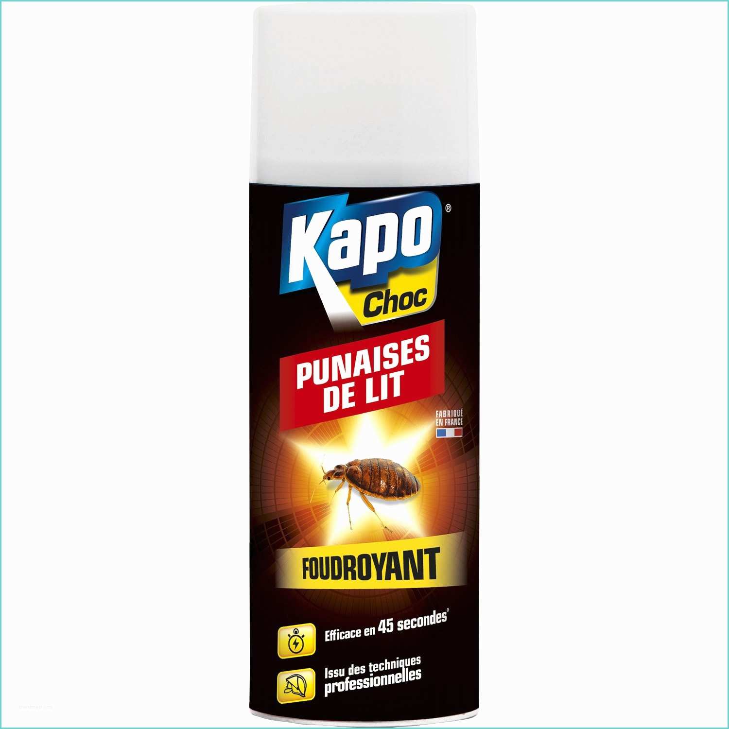 Produit Anti Puce De Lit Aérosol Insecticide Pour Punaises De Lit Kapo 0 4