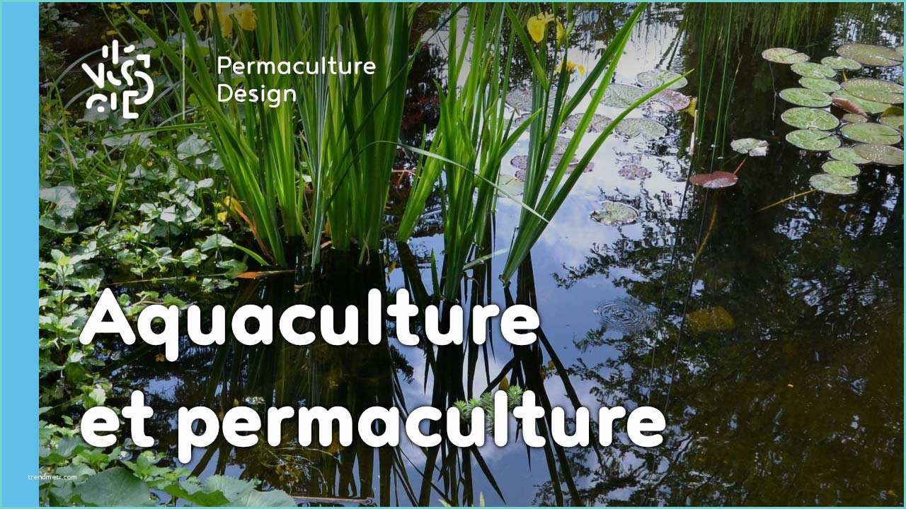 Qu Est Ce Que La Permaculture Permaculture Et Aquaculture