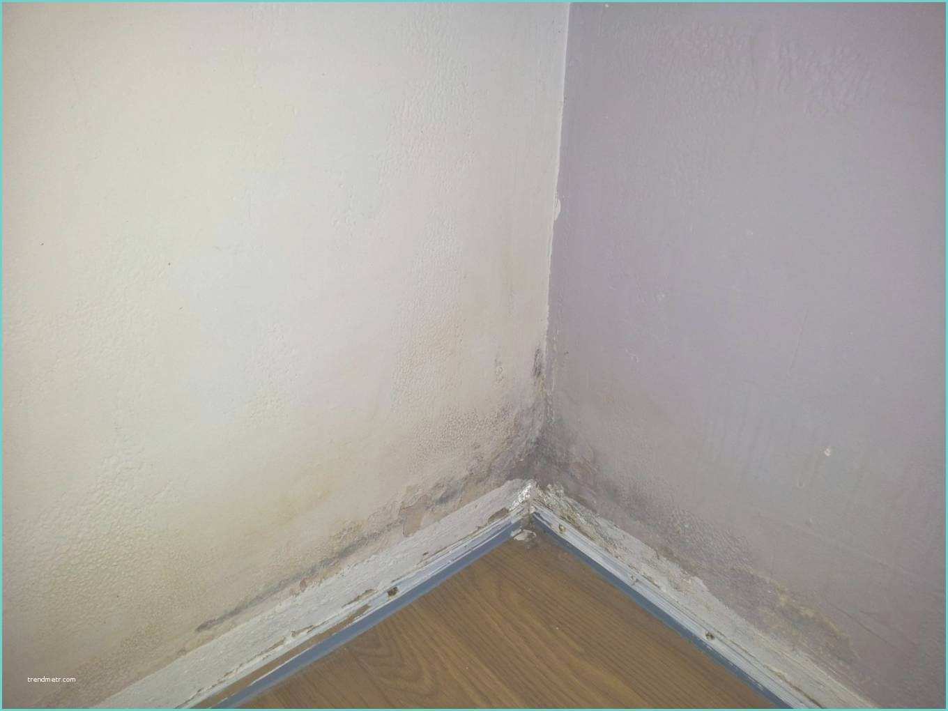 Que Faire Contre L Humidit Dans Une Chambre Humidite Mur Elegant Mur Humide Que Faire with Humidite