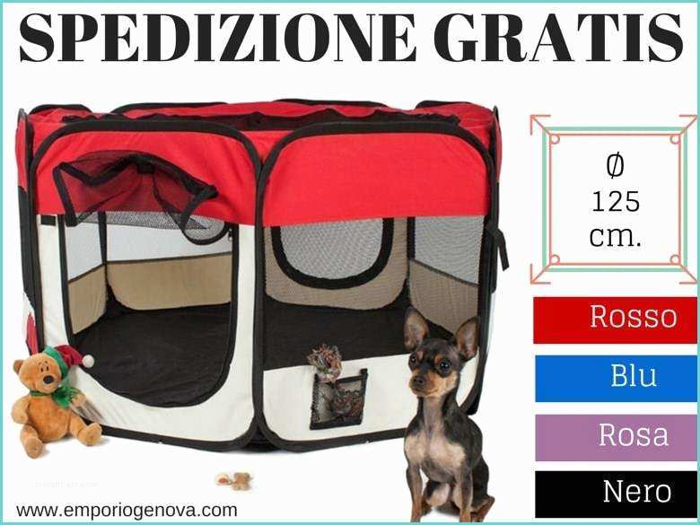 Recinti Per Cani Da Interno Box Per Cani Chihuahua Cuccioli Recinto A Genova