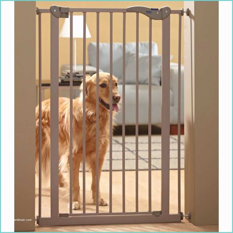 Recinti Per Cani Da Interno Dog Barrier Gate 107 Cancelletto Da Interno In Metallo Per