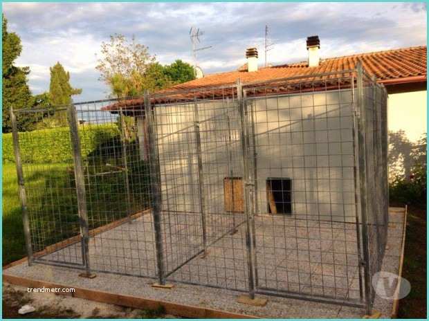 Recinti Per Cani In Casa Eurobox Italia Box Per Cani Recinti Per Cani Cucce In