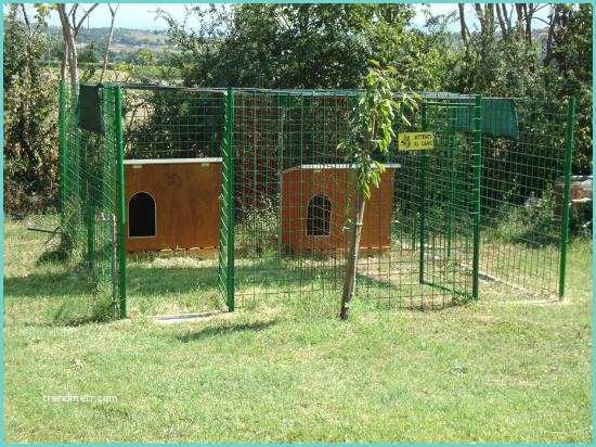 Recinto Per Cani In Legno Casa Immobiliare Accessori Costruire Un Box Per Cani