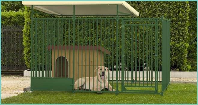 Recinto Per Cani In Legno Casa Moderna Roma Italy Costruire Un Recinto Per Cani