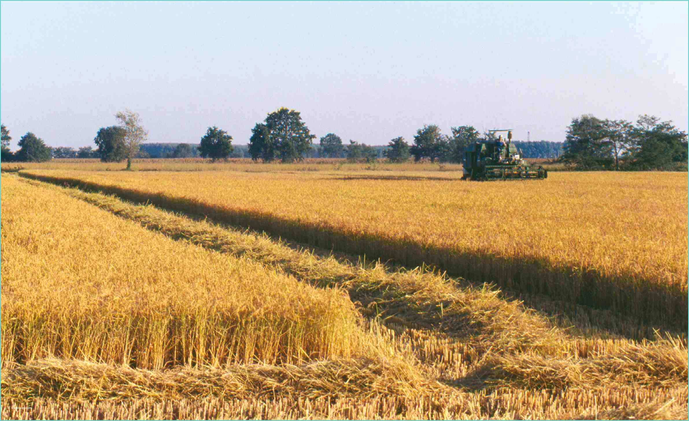 Recinzioni Economiche Per Terreni “con I Piedi Per Terra” Il Pro to Agricolo Varato Dalla