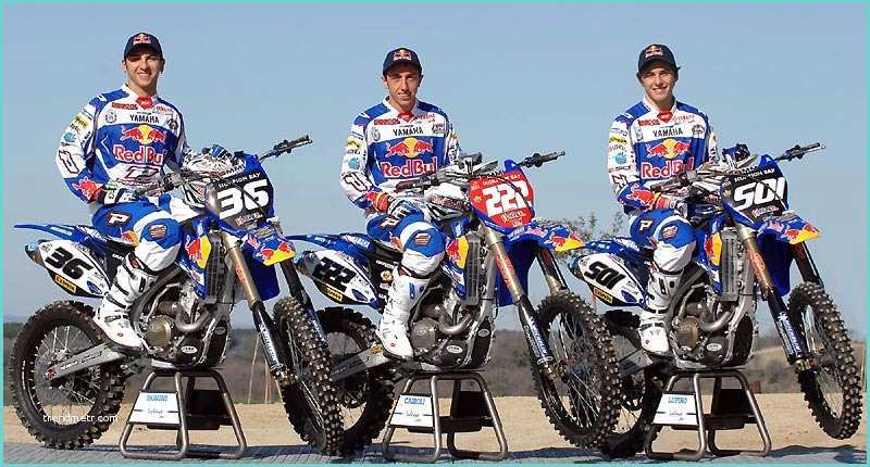 Red Bull Decals for Dirt Bikes Motocross Mx1 Mx2 Premiers Succès Pour Philippaerts Et