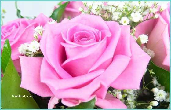 Rose Livraison A Domicile Bouquet Rond De Roses Roses