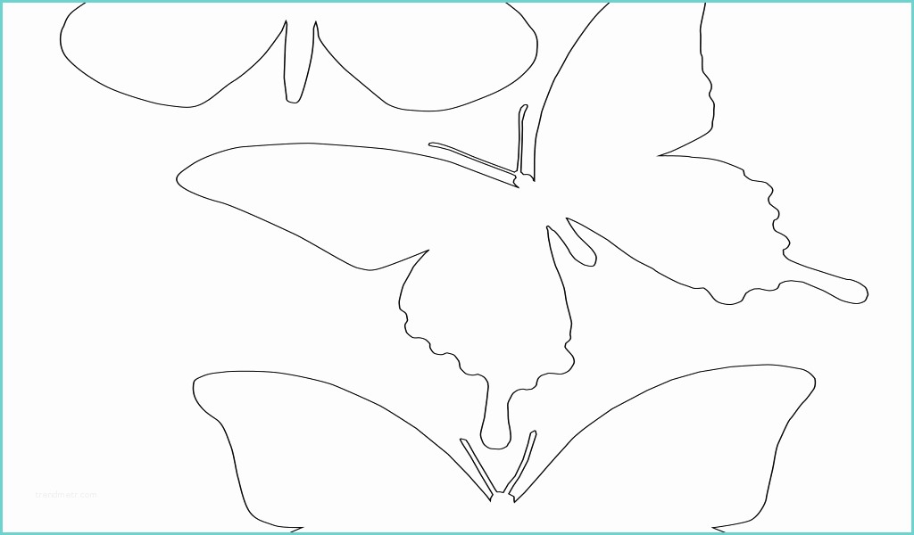 disegni di farfalle per bambini