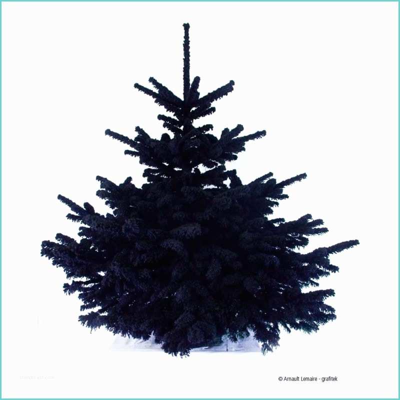 Sapin De Noel Noir 180 Cm Sapin De Noel Noir 180cm – Ciabiz