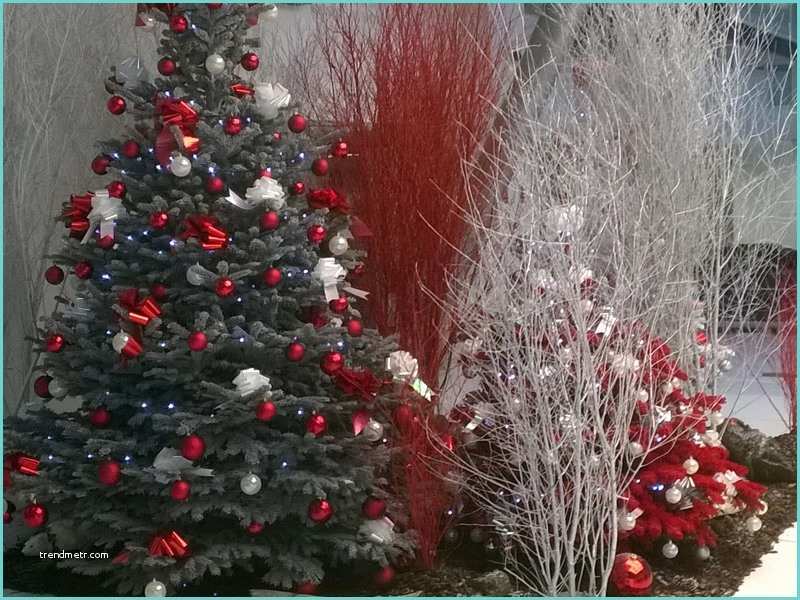 Sapin Rouge Et Blanc Décoration Noël