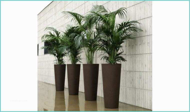 Support Pot De Fleur Interieur Pot Design Ilie Pour Interieur Ou Exterieur Blanc Vert