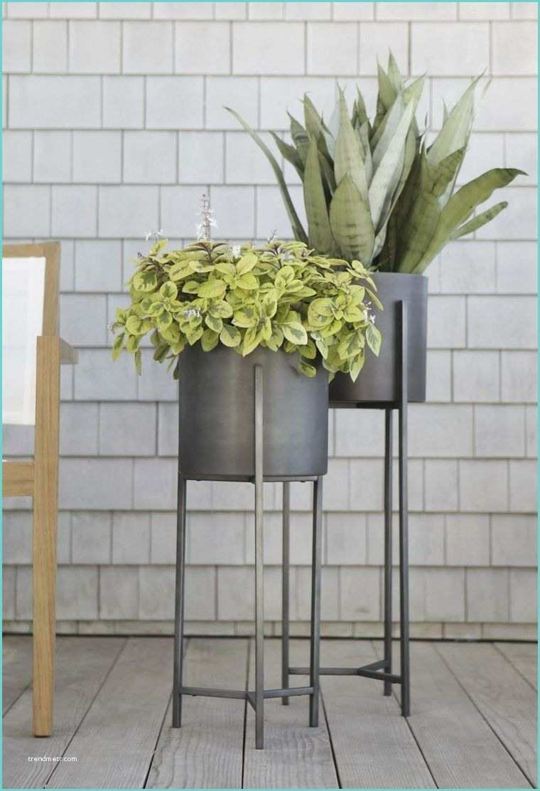 Support Pour Plante Interieur Porte Plante Et Support Pot De Fleur Intérieur De Style