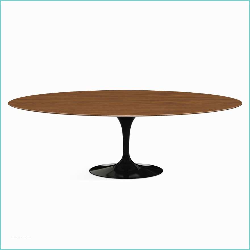 Table Knoll Ovale Knoll Table Ovale Tulip Collection Eero Saarinen 244x137